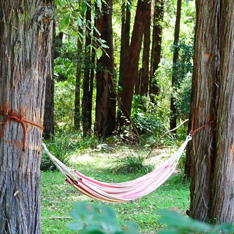relaxing at lyrebird ridge winery and retreat