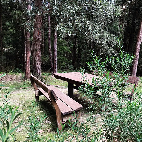 quiet picnic spot at lyrebird ridge winery